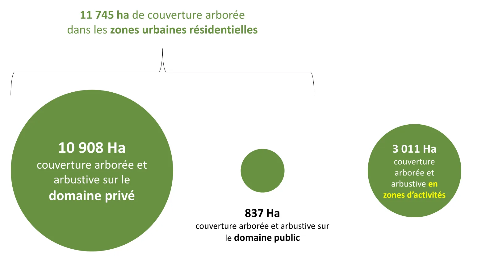 Modélisation des différentes strates du couvert végétal dans la Métropole Aix Marseille Provence : détermination de la part de la couverture arborée et arbustive localisée dans les jardins privés