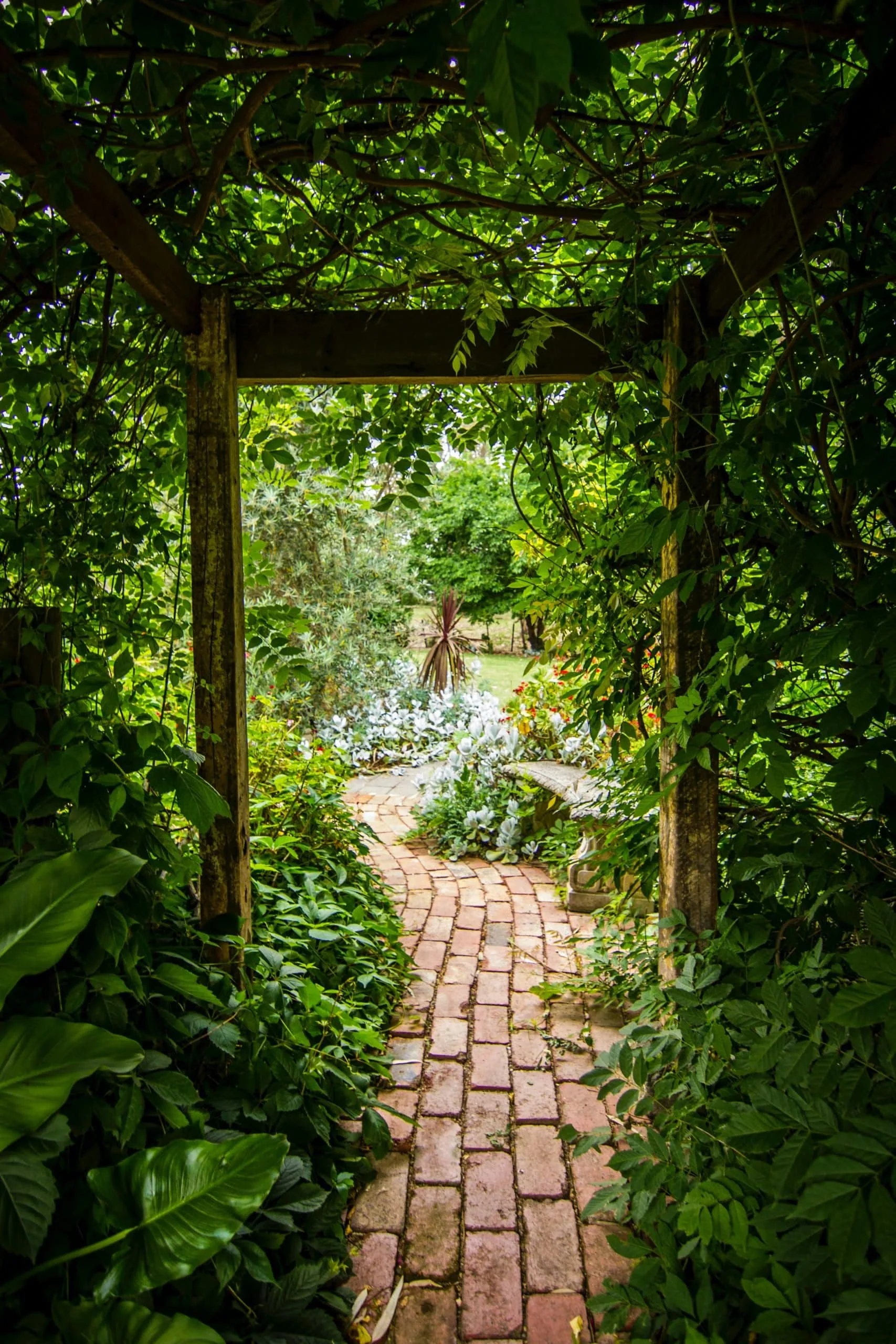 Tim Cooper – Unsplash.com