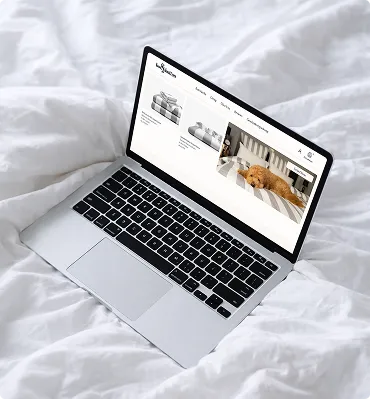 Offenes Laptop auf weißer Bettdecke mit einer Webseite, die Sofas und ein schlafendes orangefarbenes Kätzchen zeigt.