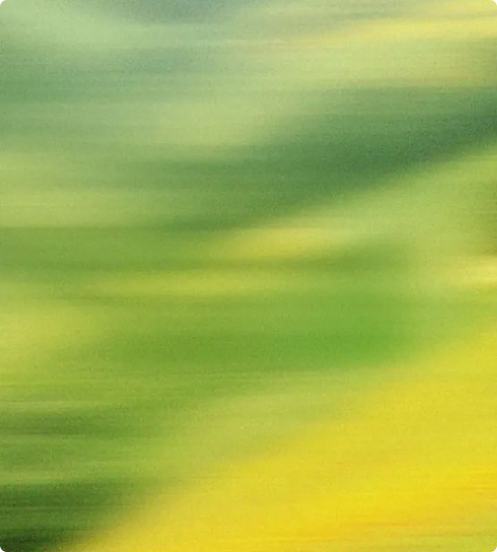 Unscharfer Hintergrund aus verschiedenen Grün- und Gelbtönen mit verlaufenden Schatten.