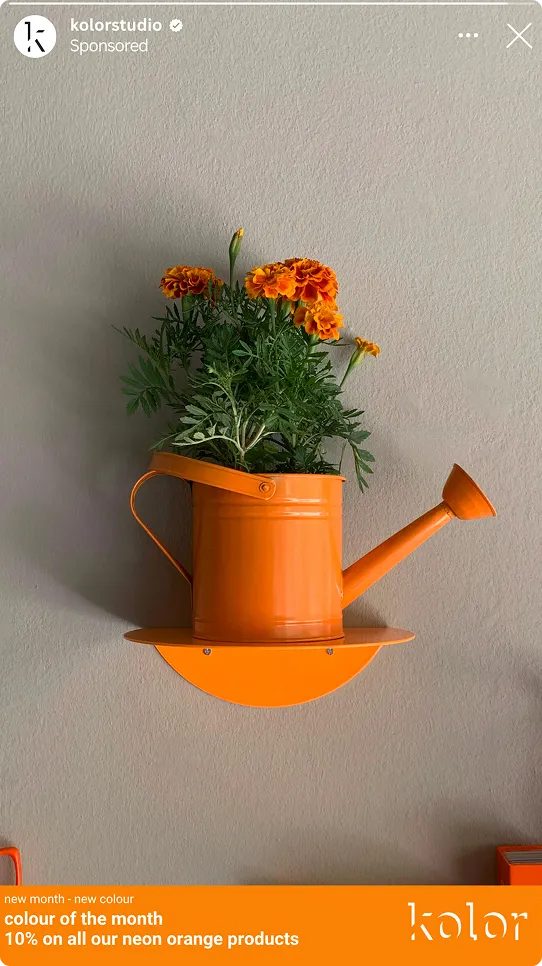 Orangefarbene Gießkanne mit orangefarbenen Blumen an einer grauen Wand, beworben als Farbe des Monats.