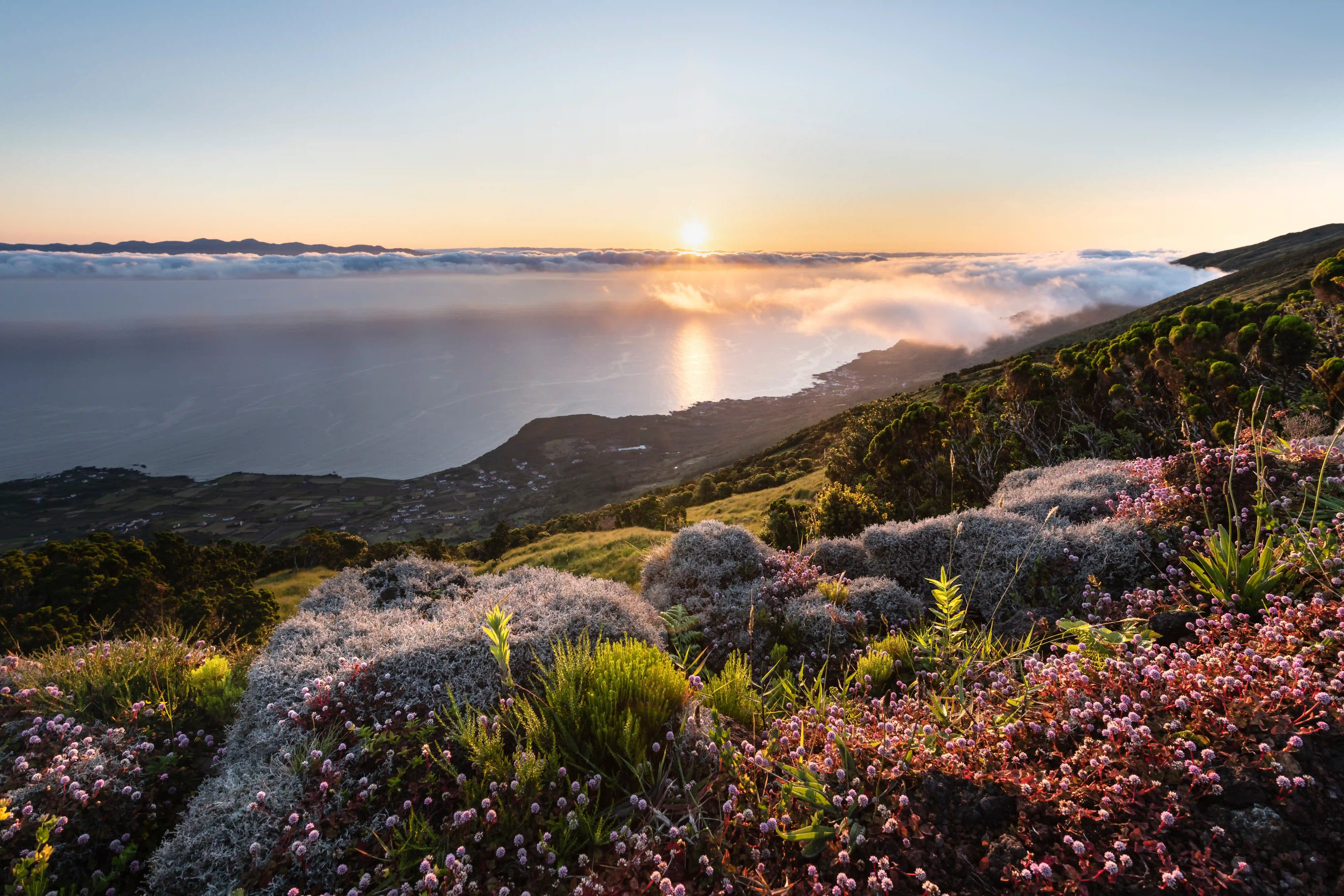 Vista costeira no Pico