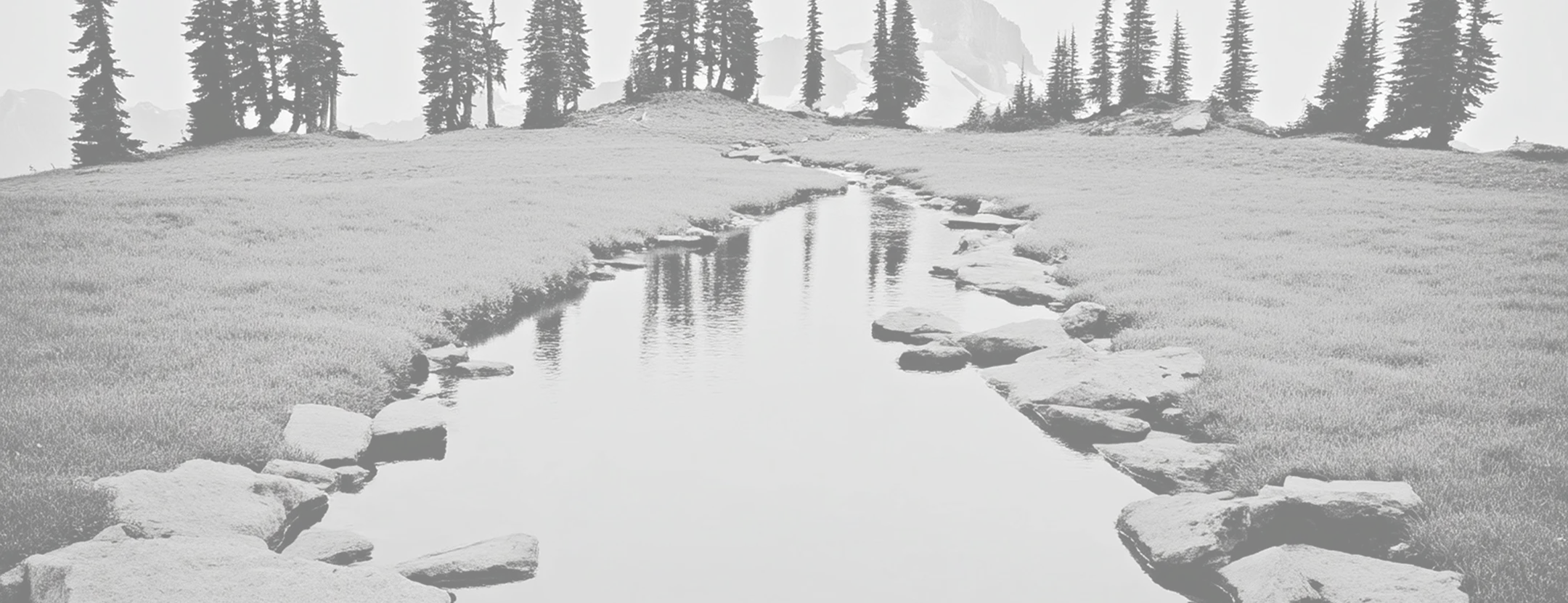 Decorative Background Image for Clausework