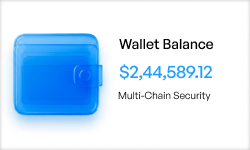 Blue wallet icon with wallet balance of $2,44,589.12 and multi-chain security text.