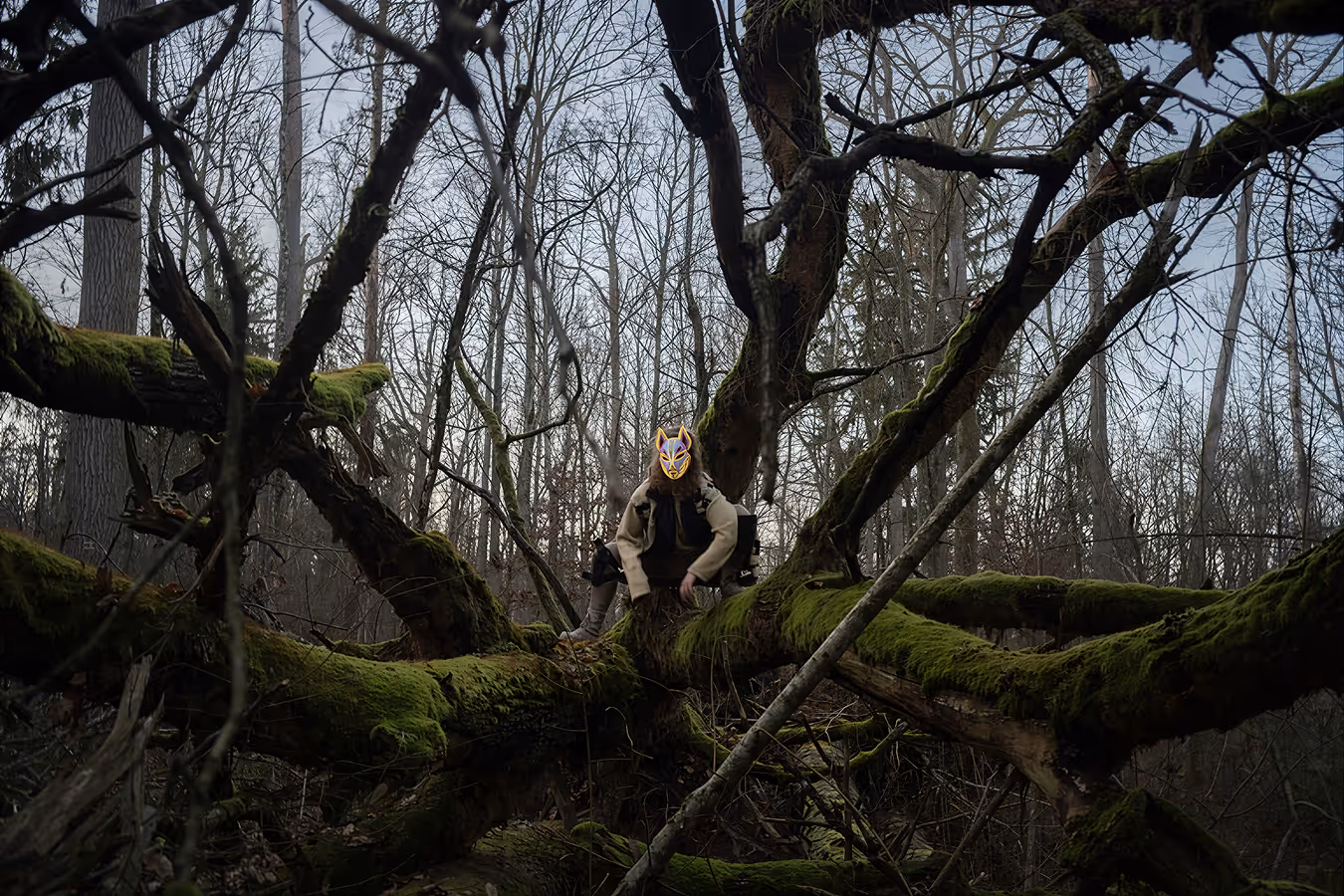 Person wearing a fox mask sitting on moss-covered tree branches in a leafless forest.