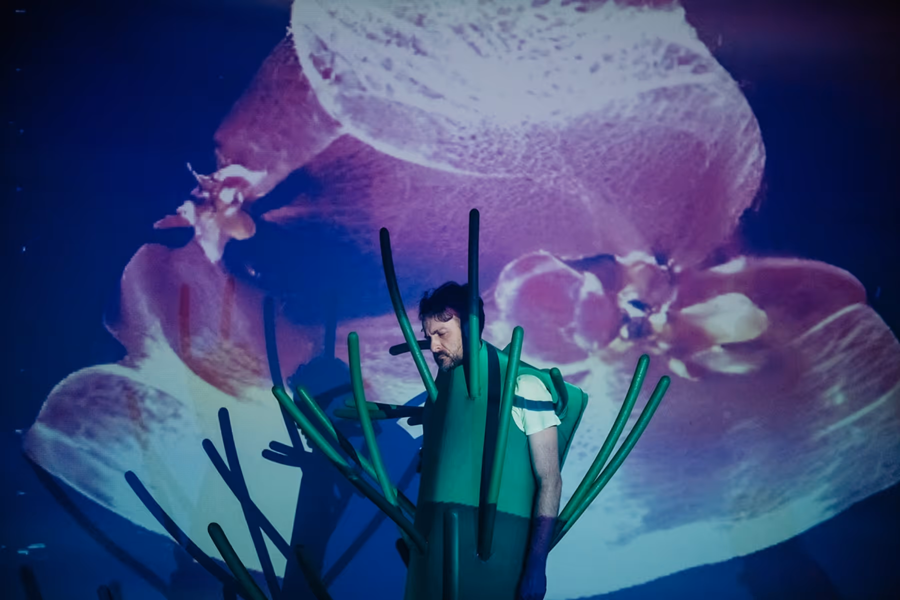 Man dressed in a green costume resembling a plant with long stems standing in front of a large purple flower projection.