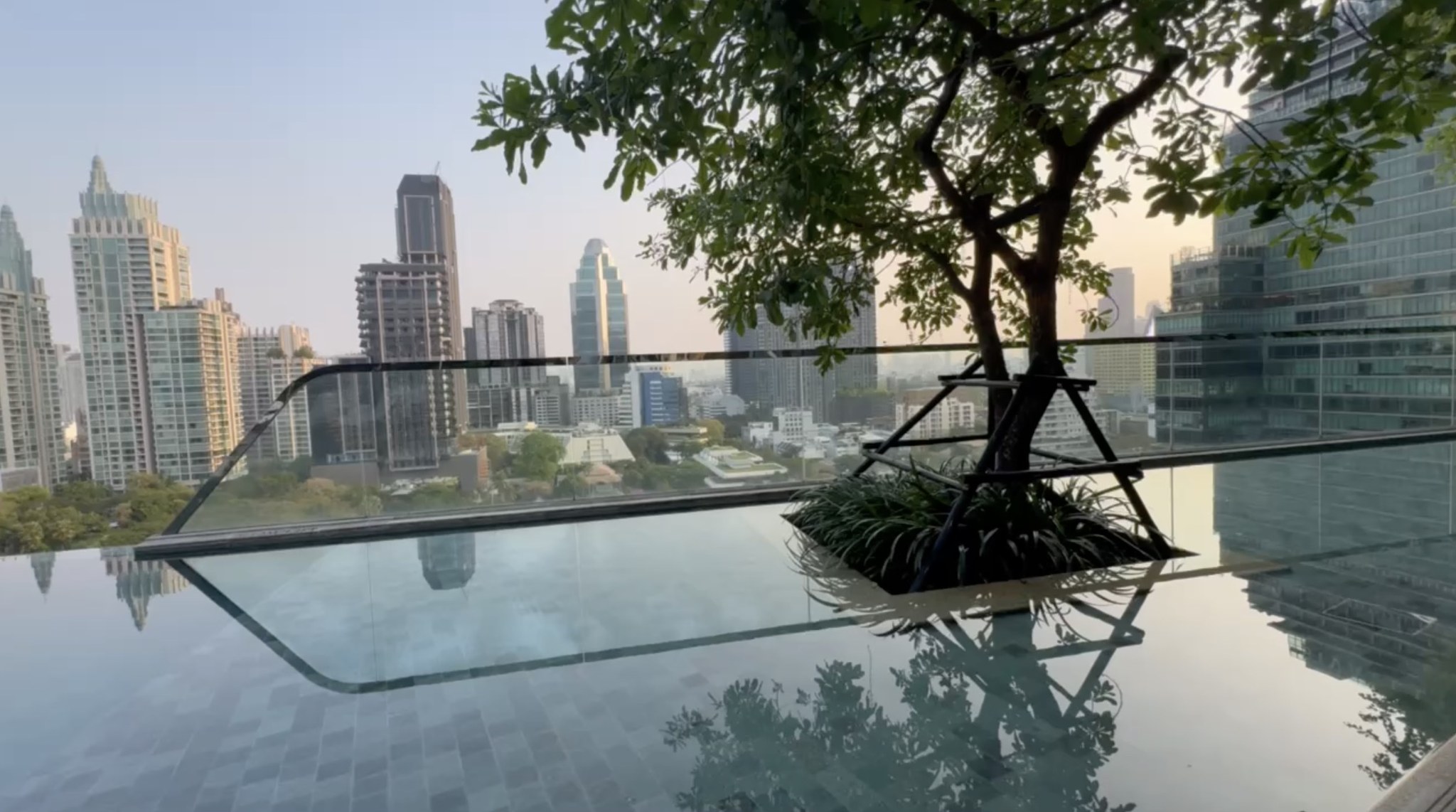 subject/scene: fine dining experience