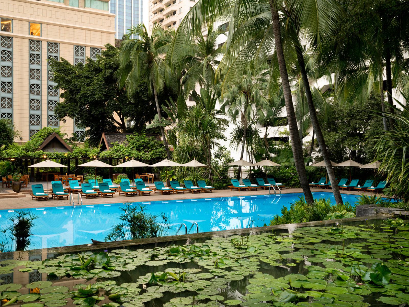 subject/scene: fine dining experience