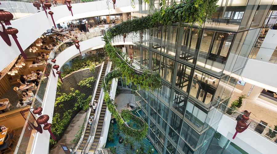 subject/scene: fine dining experience