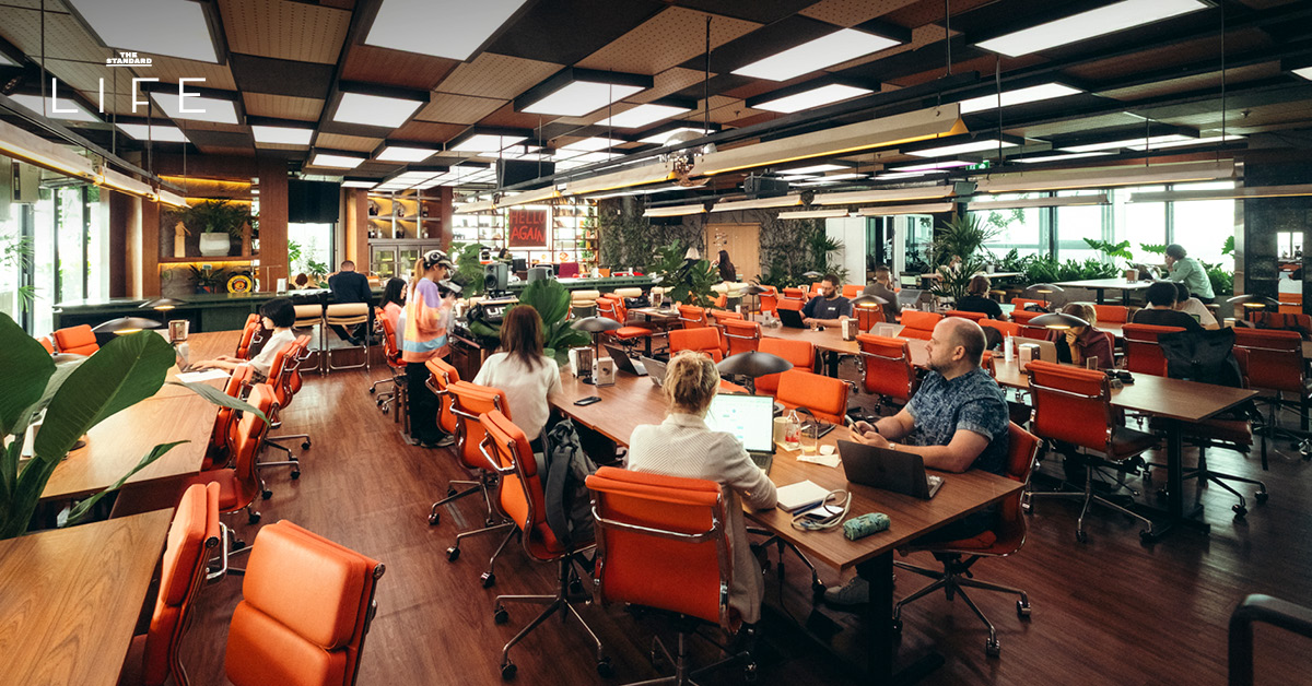 subject/scene: fine dining experience