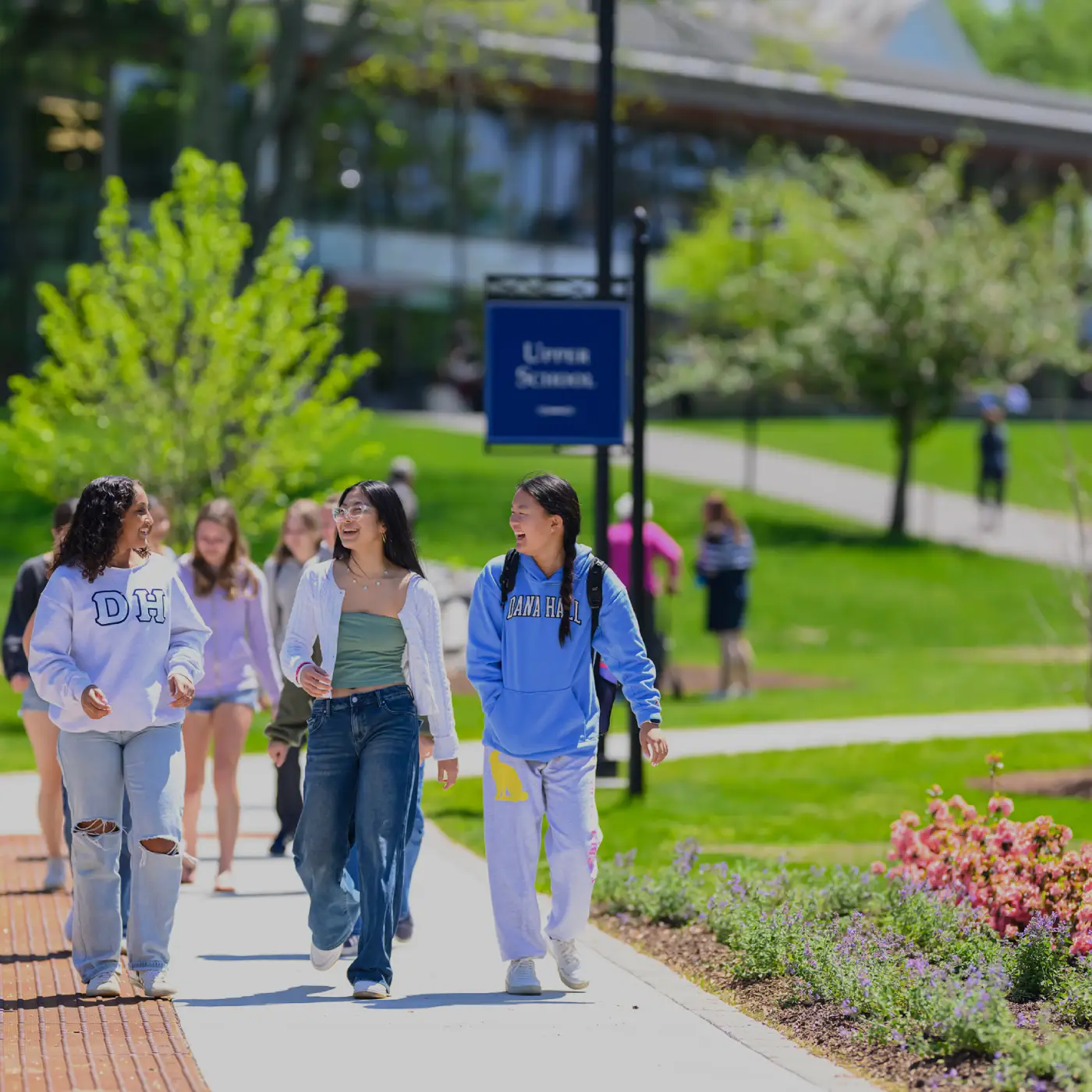 Three students walking and chatting on a sunny college campus sidewalk with green grass and flowers nearby.