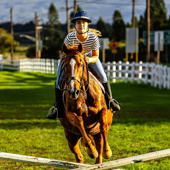 Young woman wearing helmet and striped shirt riding a horse over a small obstacle on a sunny grassy field.