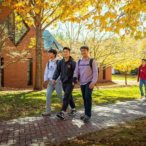 Three young men walking on a brick path under trees with golden autumn leaves, near a brick building on a sunny day.