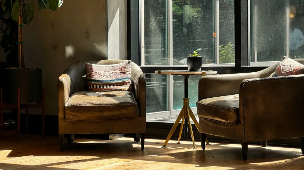 Two brown leather armchairs with patterned cushions facing each other beside a small round table with a potted plant, near a large window letting in sunlight.