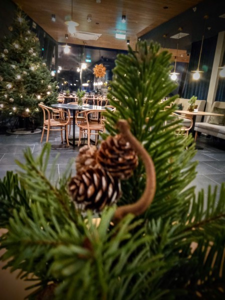 Trolltunga Go Viking Christmas Party