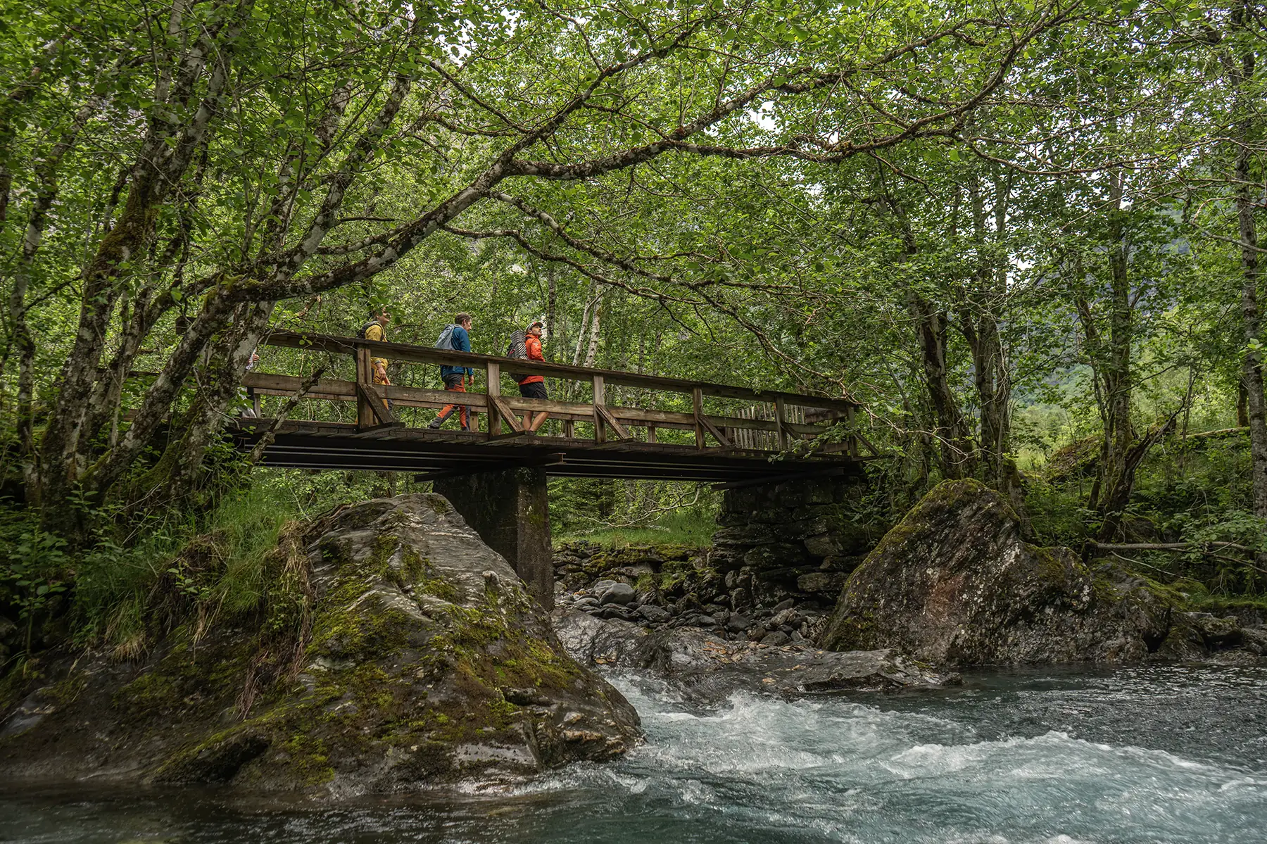 E-Bike Tour Ulvik to Ossete: A Journey Through History and Nature