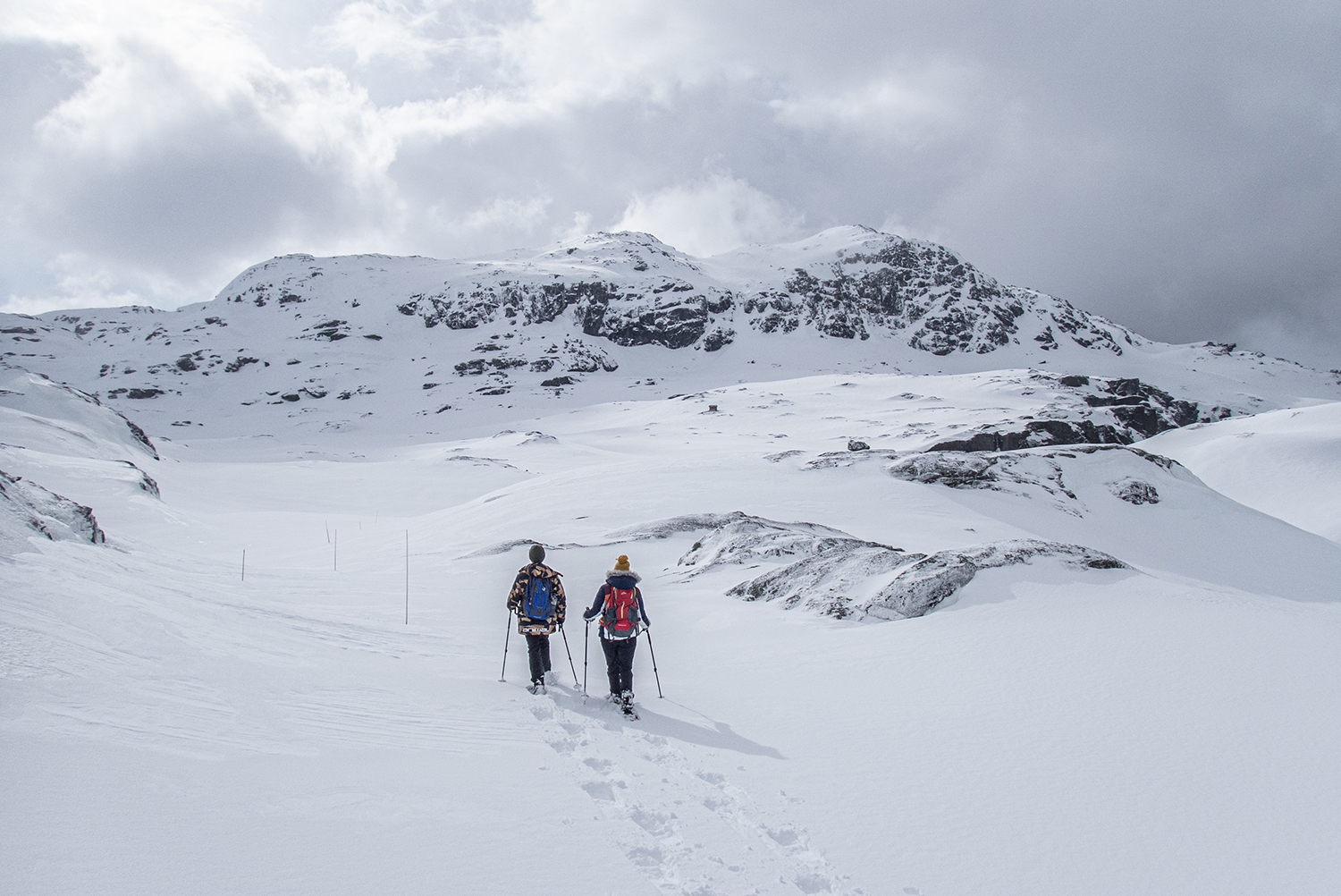 Experience unique winter landscapes