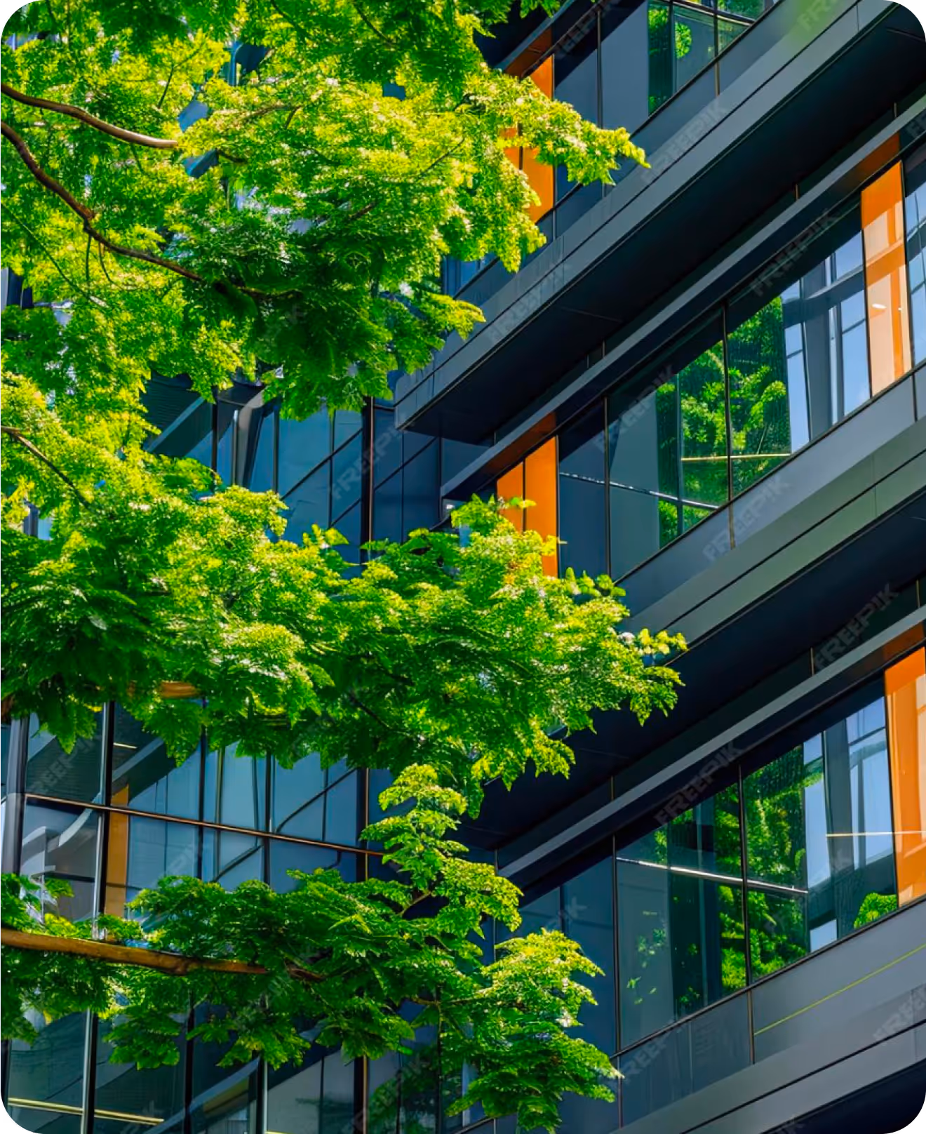 Green leafy tree branches in front of a modern glass office building reflecting the greenery.