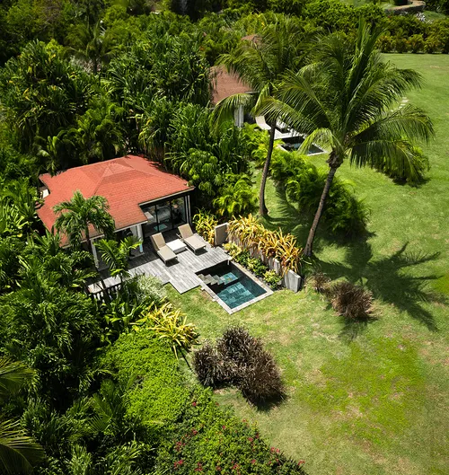 Tropical sunset through the trees on the coast in Guadeloupe.
