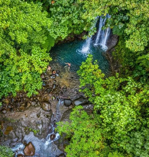 Waterfall surrounded by a lush tropical forest with clear water basin in Guadeloupe.