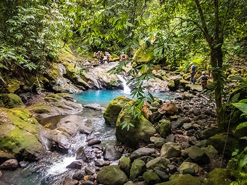 Aquarando in the Guadeloupe Islands