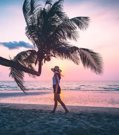 Personne marchant sous un palmier au coucher du soleil sur une plage en Guadeloupe.