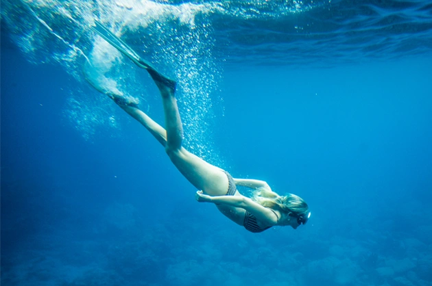 Les meilleurs sites de plongée sous-marine et de snorkelling