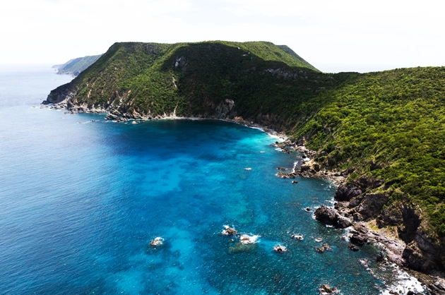 Un voyage authentique à La Désirade : Entre nature sauvage et traditions créoles