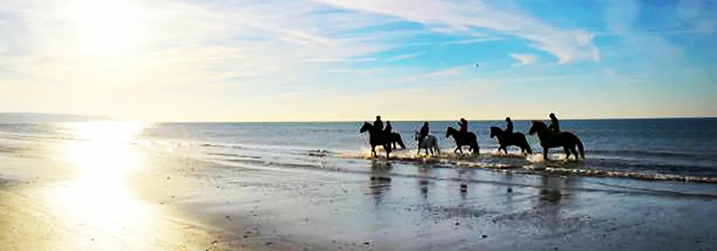 Groupe de cavaliers en silhouette se promenant au bord de l'eau sur une plage au coucher du soleil, une activité organisée par La Créole Beach Hôtel & Spa.