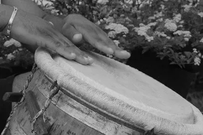Gros plan sur un joueur de tambour traditionnel Gwo Ka lors d'une animation culturelle à La Créole Beach Hôtel & Spa en Guadeloupe.