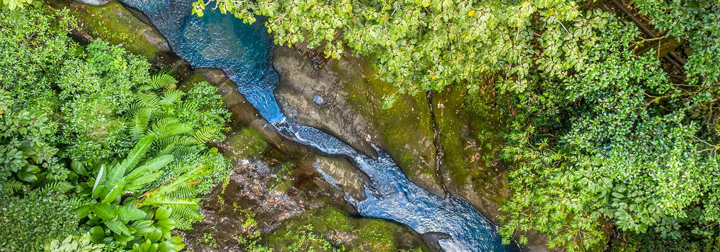 Rivière serpentant dans une forêt tropicale vue du ciel en Guadeloupe.