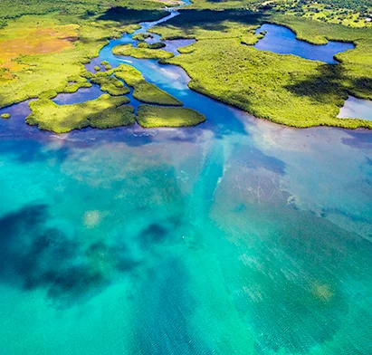 Vue aérienne panoramique de la mangrove et des eaux turquoise de la Guadeloupe, à proximité de La Créole Beach Hôtel & Spa.