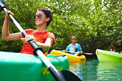Groupe de touristes en kayak explorant la mangrove guadeloupéenne, une activité proposée au départ de La Créole Beach Hôtel & Spa.