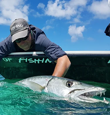 Pêcheur remettant à l'eau un barracuda en Guadeloupe, activité partenaire de La Créole Beach Hôtel & Spa