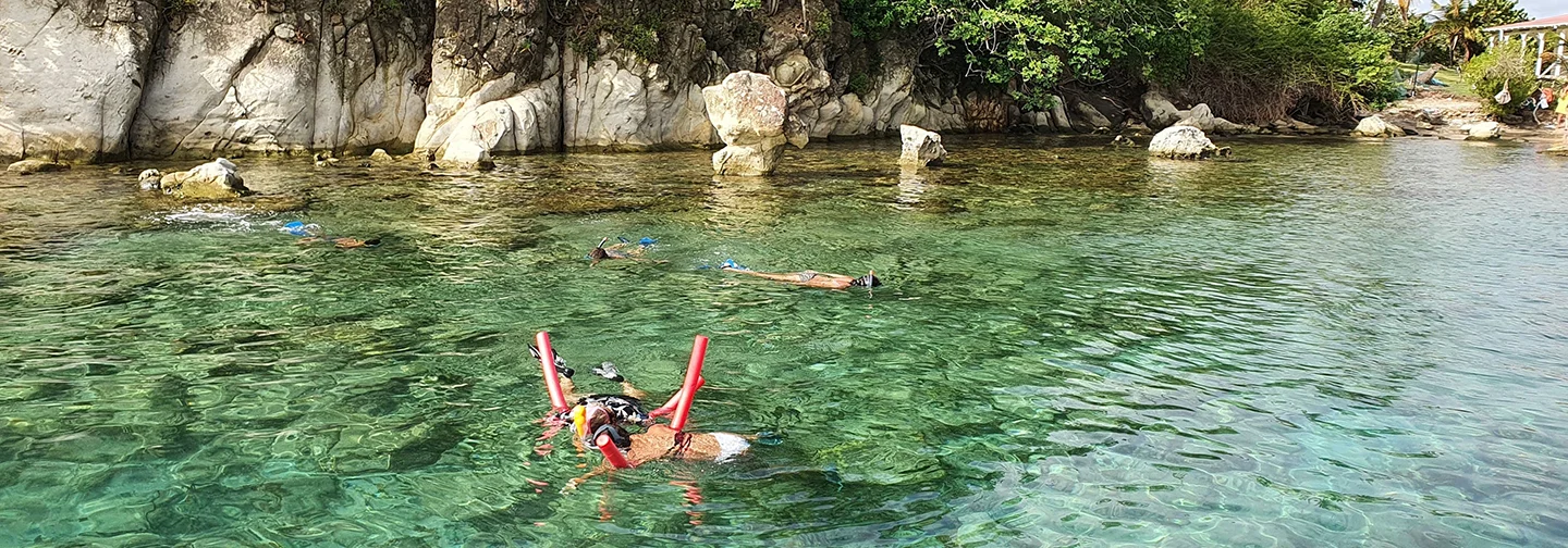 Clients profitant d'une séance de snorkeling dans les eaux cristallines face à La Créole Beach Hôtel & Spa en Guadeloupe.
