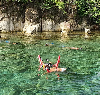 Clients profitant d'une séance de snorkeling dans les eaux cristallines face à La Créole Beach Hôtel & Spa en Guadeloupe.