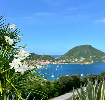 Vue panoramique sur la baie et les collines depuis La Créole Beach Hôtel & Spa.