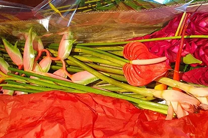 Gros plan sur un assortiment de fleurs exotiques fraîches, dont des anthuriums rouges, préparé pour le transport.