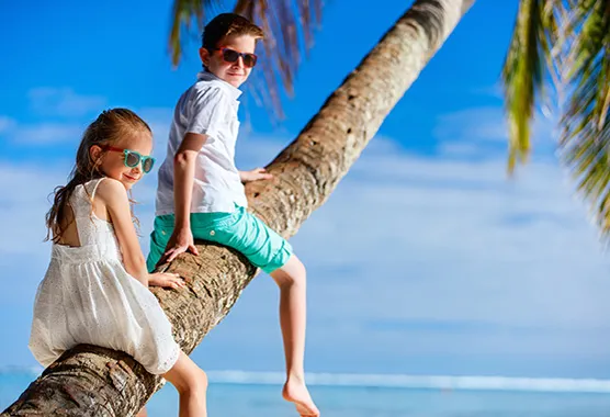 Deux enfants qui sont à cheval sur le tronsprenché d'un palmier de Guadeloupe
