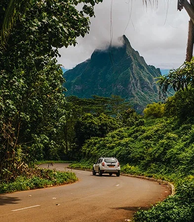 Tropical road crossing lush vegetation with misty mountain in Guadeloupe.