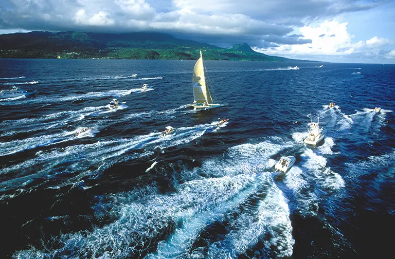Arrivée de la Route du Rhum en Guadeloupe avec voiliers et bateaux accompagnateurs