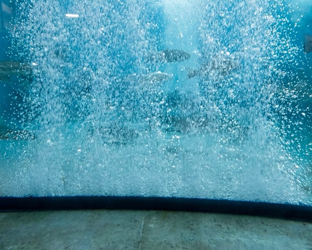 One Hose, Many Applications