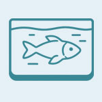 Specialty fish farming