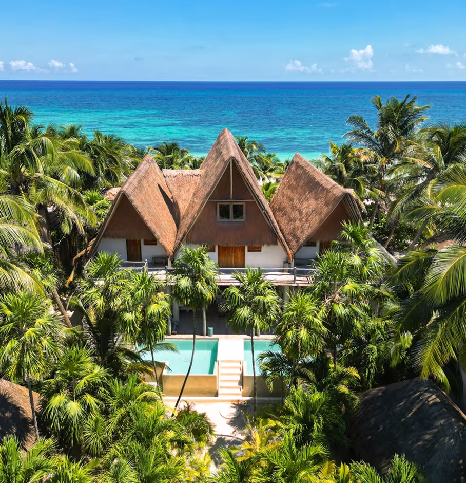 Aerial view of a luxury thatched-roof villa surrounded by palm trees and a swimming pool overlooking the ocean.