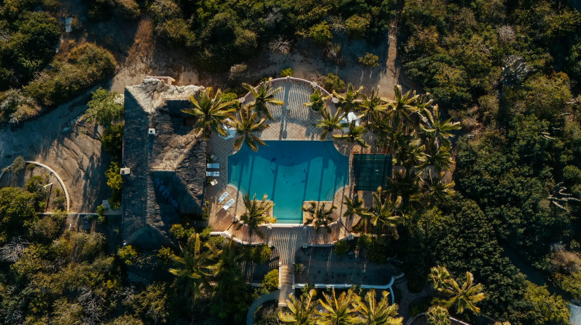 Aerial view of a luxury octagon-shaped swimming pool surrounded by tropical palm trees and white umbrellas at a resort.