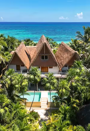 Aerial view of a luxury thatched-roof villa surrounded by palm trees and a swimming pool overlooking the ocean.