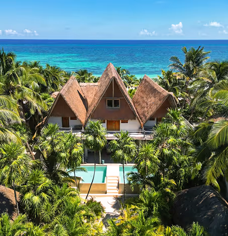 Aerial view of a luxury thatched-roof villa surrounded by palm trees and a swimming pool overlooking the ocean.