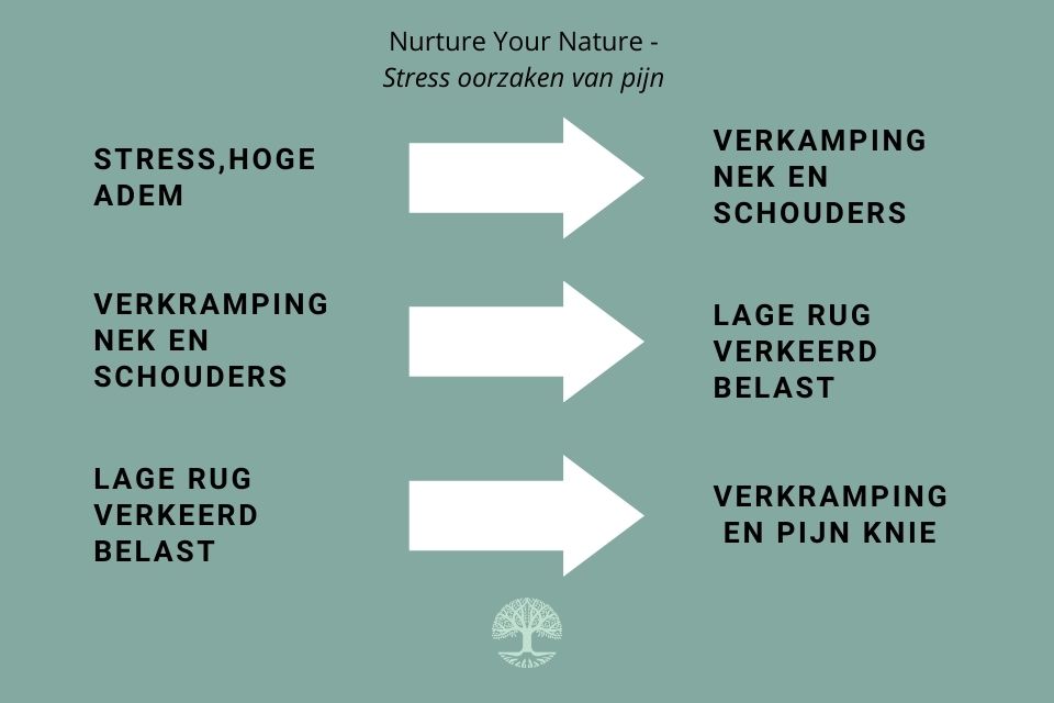 kniepijn oorzaken acupunctuur Purmerend hoorn en Zaandam