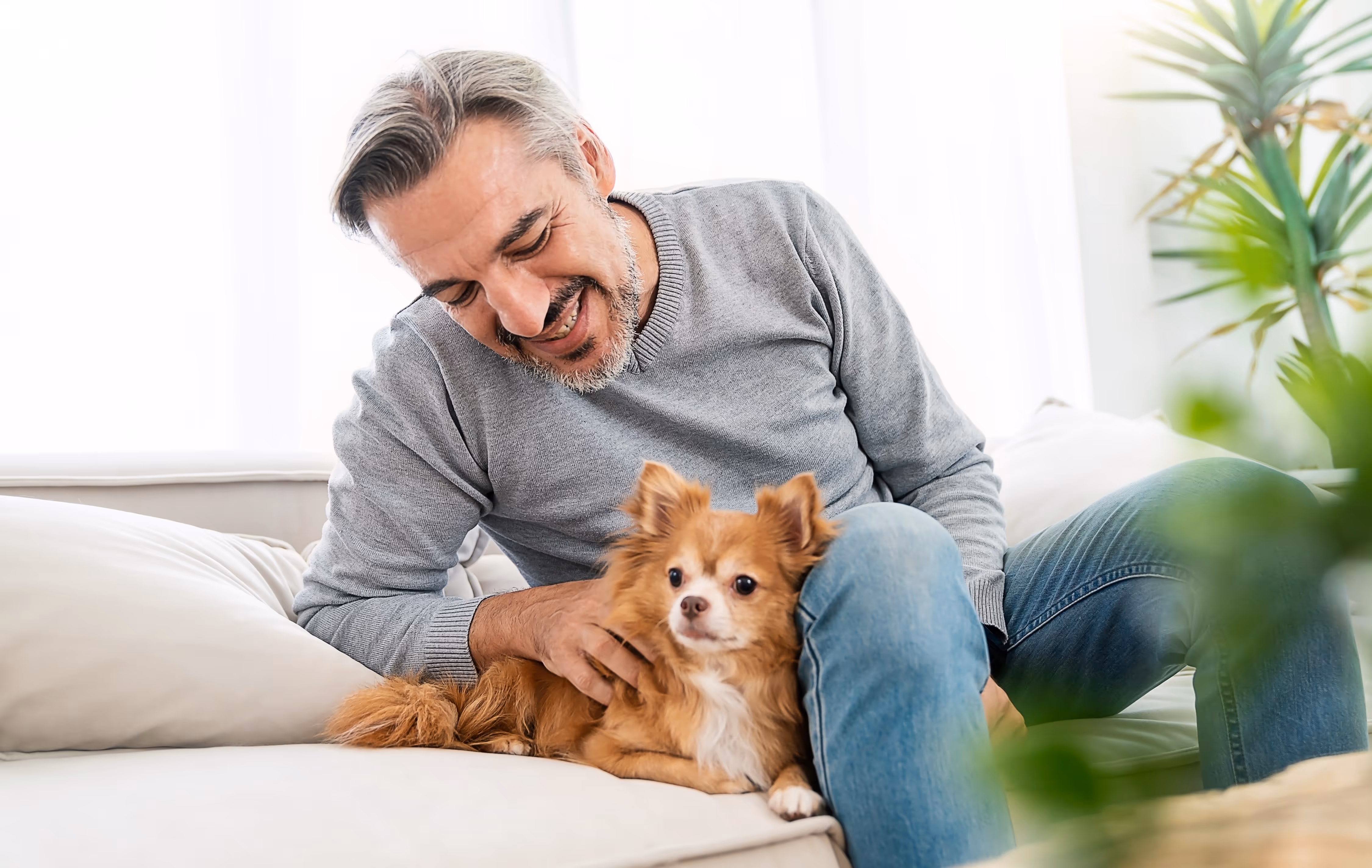Man petting dog stock image