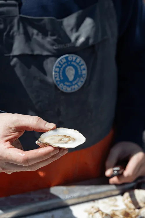 A close up shot of a Lone Pine Pearl oyster in the hand of an Austin Oyster Co. employee wearing branded overalls.